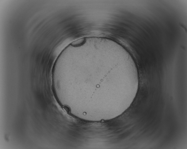 X0000100481479200807031840