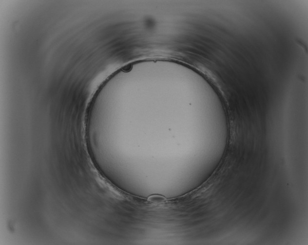 X0000100481480200807031840