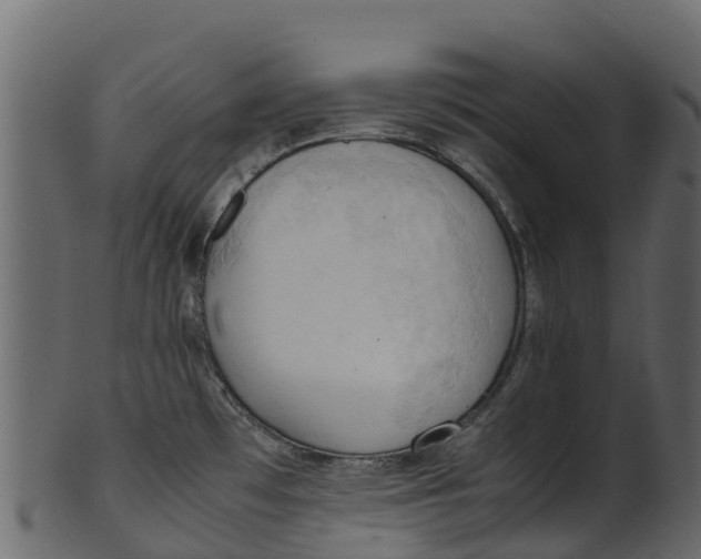 X0000100481481200807031840