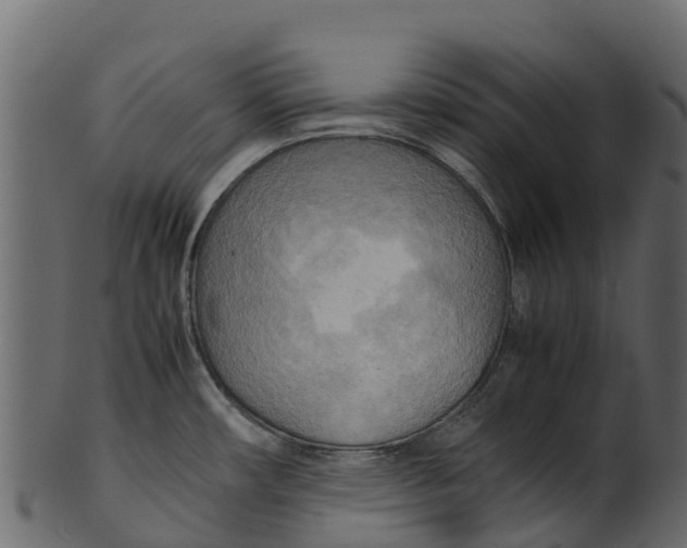 X0000100481482200807031840