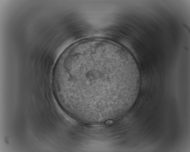 X0000100481483200807031840