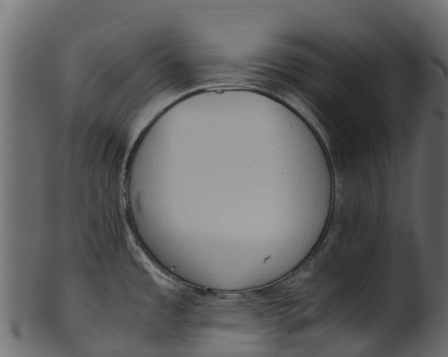 X0000100481485200807031840