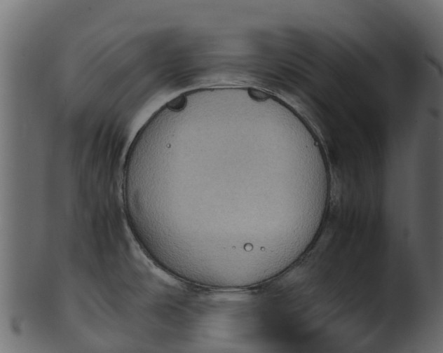 X0000100481486200807031840