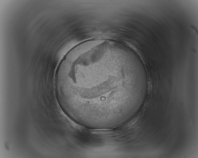 X0000100481487200807031840