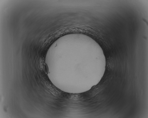 X0000100481490200807031839