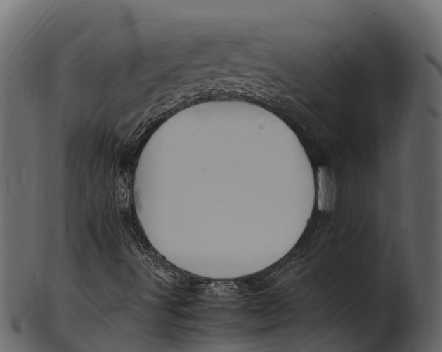 X0000100481491200807031839