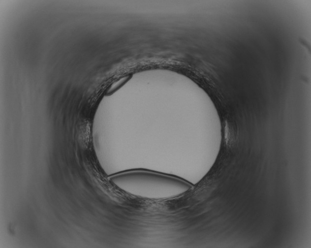 X0000100481492200807031839