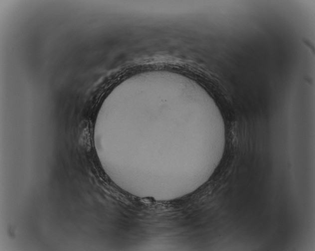 X0000100481493200807031839