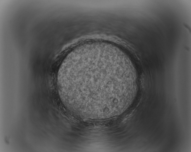 X0000100481494200807031839