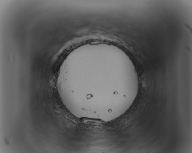 X0000100481495200807031839