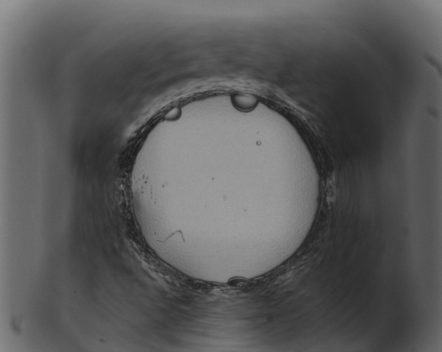 X0000100481496200807031839