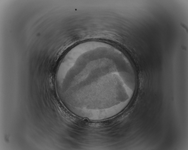 X0000100481497200807031839