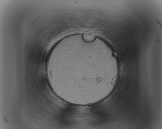 X0000100481498200807031839