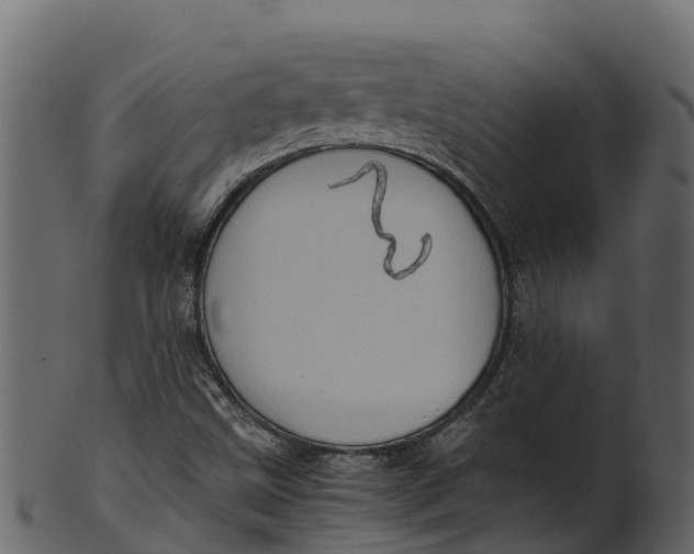 X0000100481499200807031839