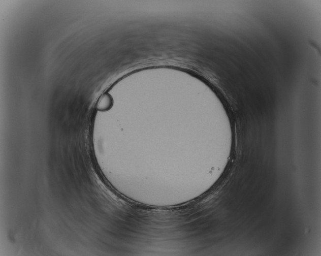 X0000100481500200807031839