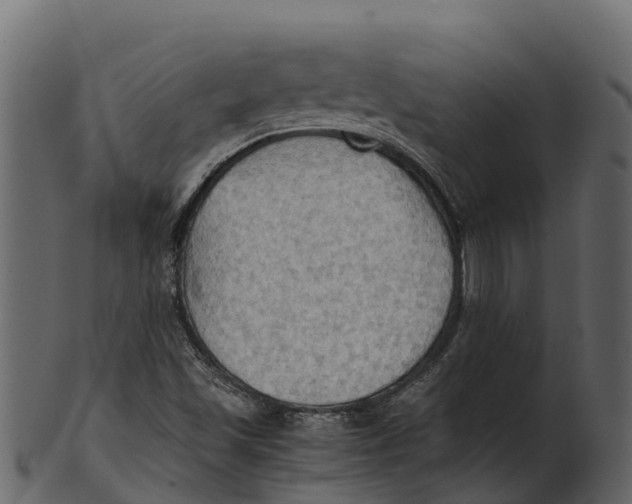 X0000100481501200807031839