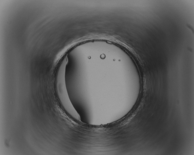 X0000100481502200807031839