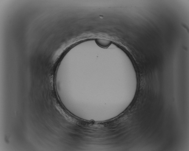 X0000100481503200807031839