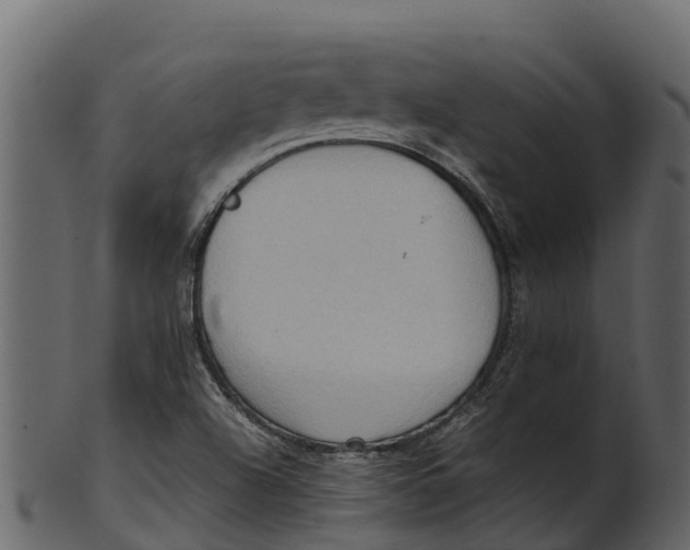 X0000100481504200807031839