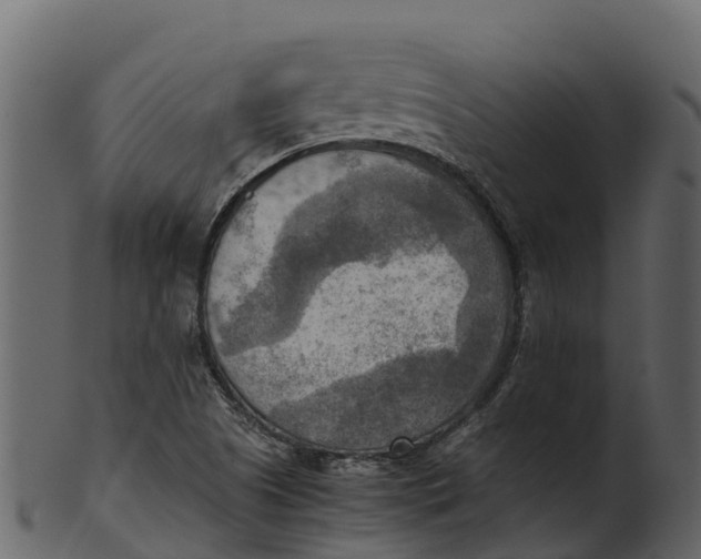 X0000100481505200807031839