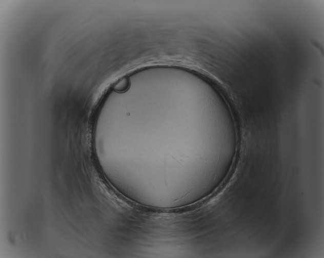 X0000100481506200807031839