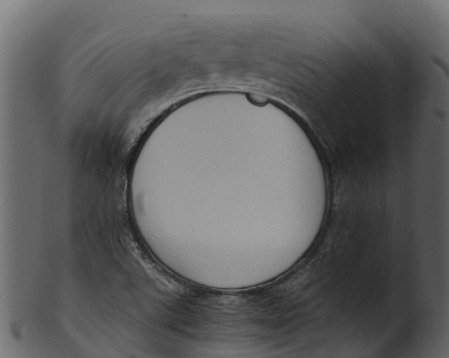 X0000100481507200807031839