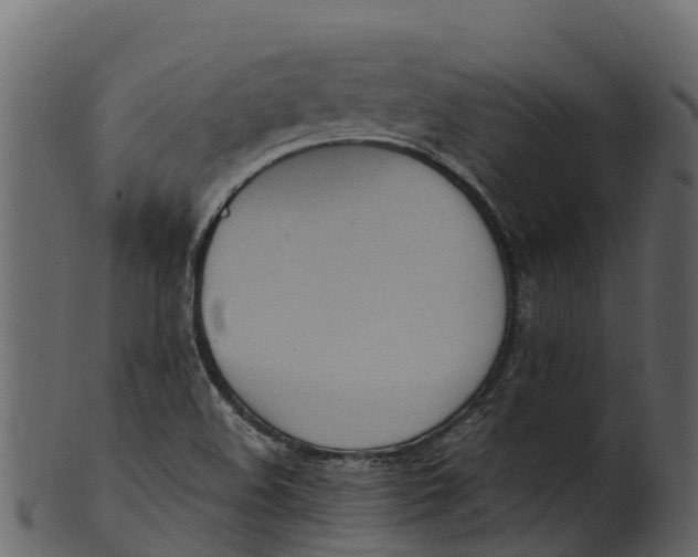 X0000100481508200807031839