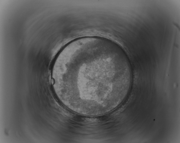 X0000100481509200807031839