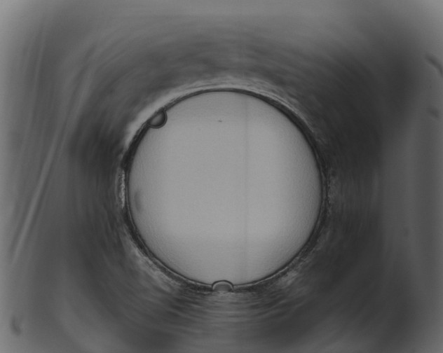 X0000100481510200807031839