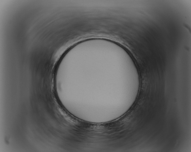 X0000100481511200807031839