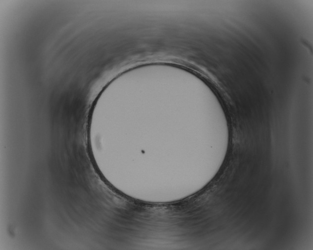 X0000100481512200807031839