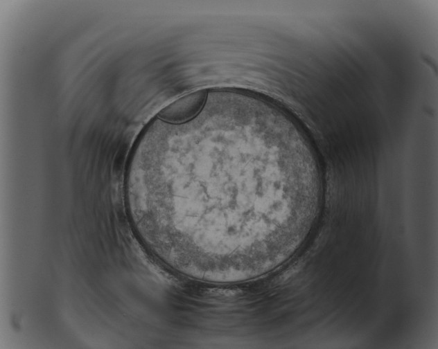 X0000100481513200807031839