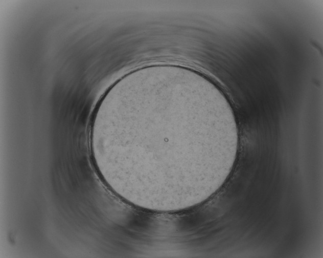 X0000100481514200807031839