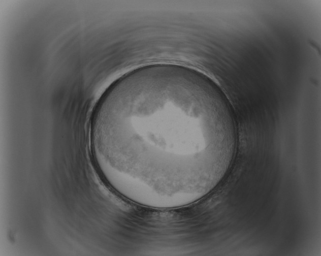 X0000100481515200807031839