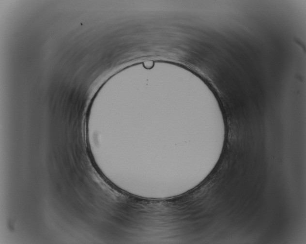 X0000100481516200807031839