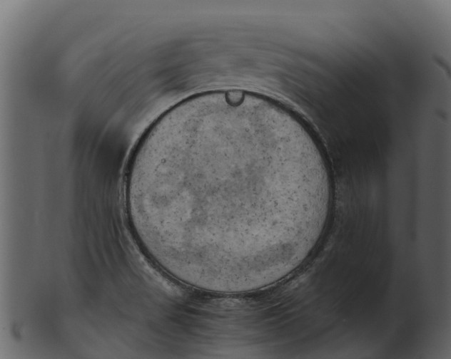 X0000100481517200807031839