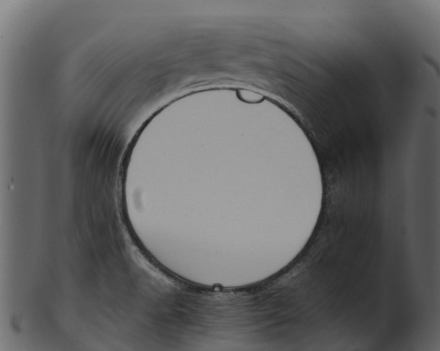 X0000100481518200807031839