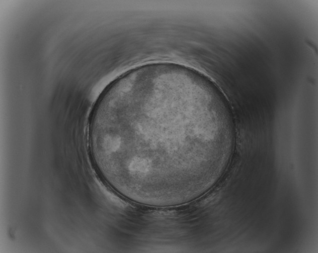 X0000100481519200807031839