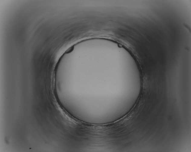 X0000100481520200807031839