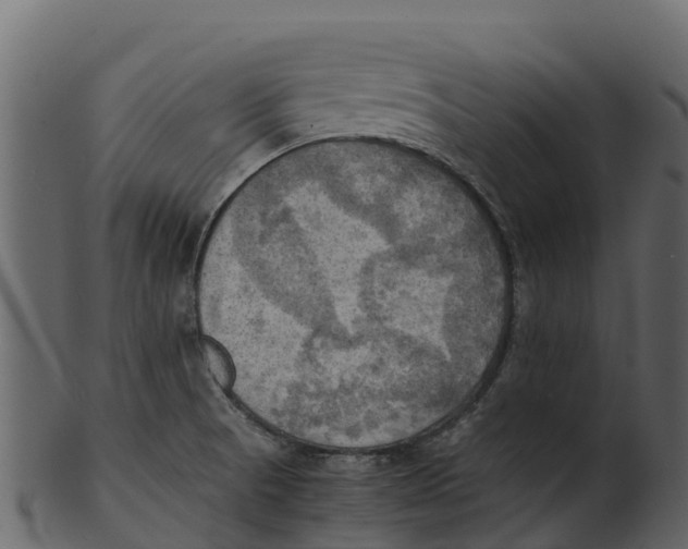 X0000100481521200807031839