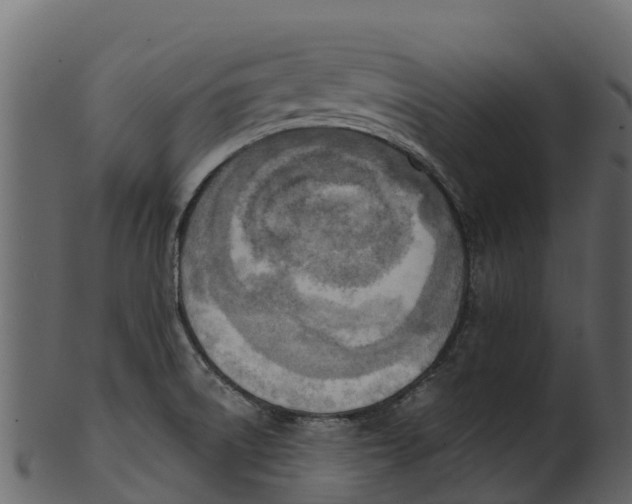 X0000100481522200807031839