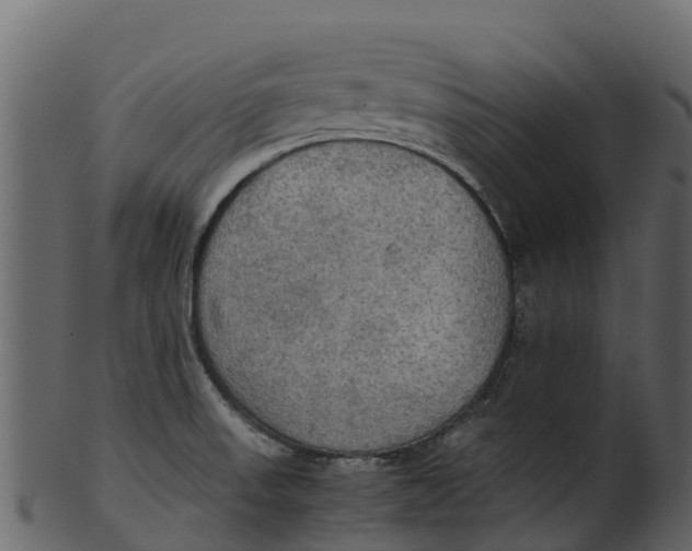 X0000100481523200807031839