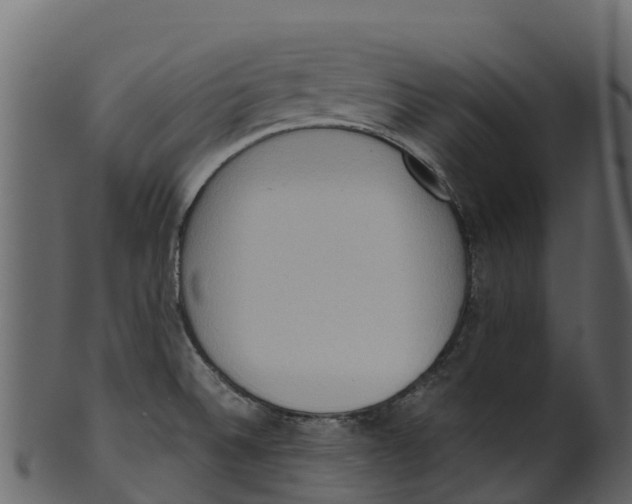 X0000100481524200807031839