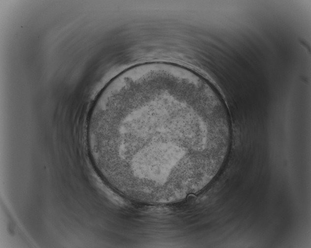 X0000100481525200807031840