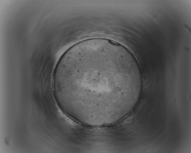 X0000100481527200807031840