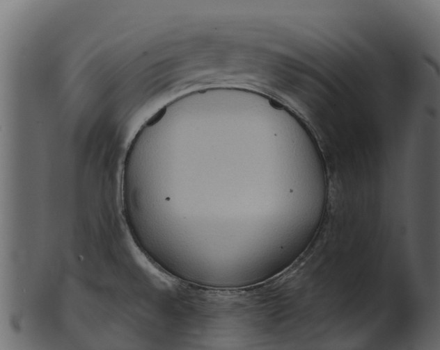 X0000100481528200807031840