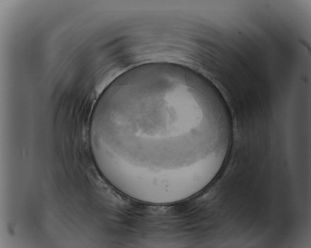 X0000100481529200807031840