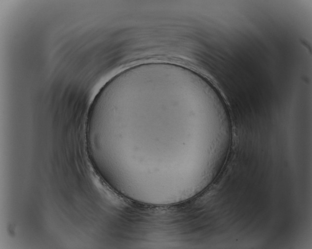 X0000100481530200807031840