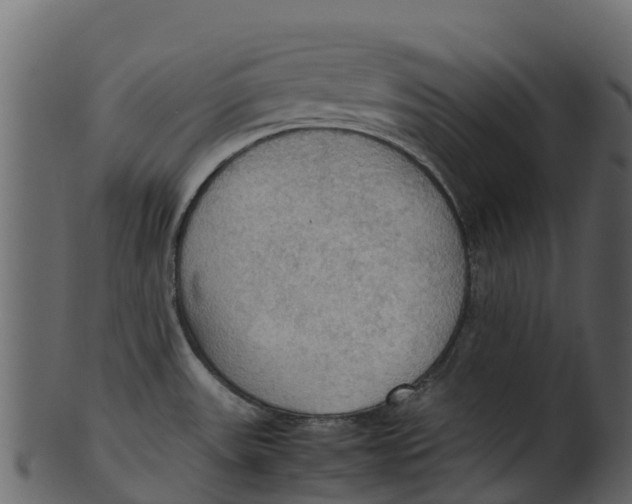 X0000100481531200807031840