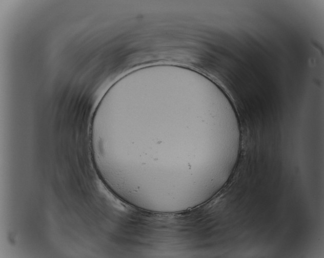 X0000100481532200807031840